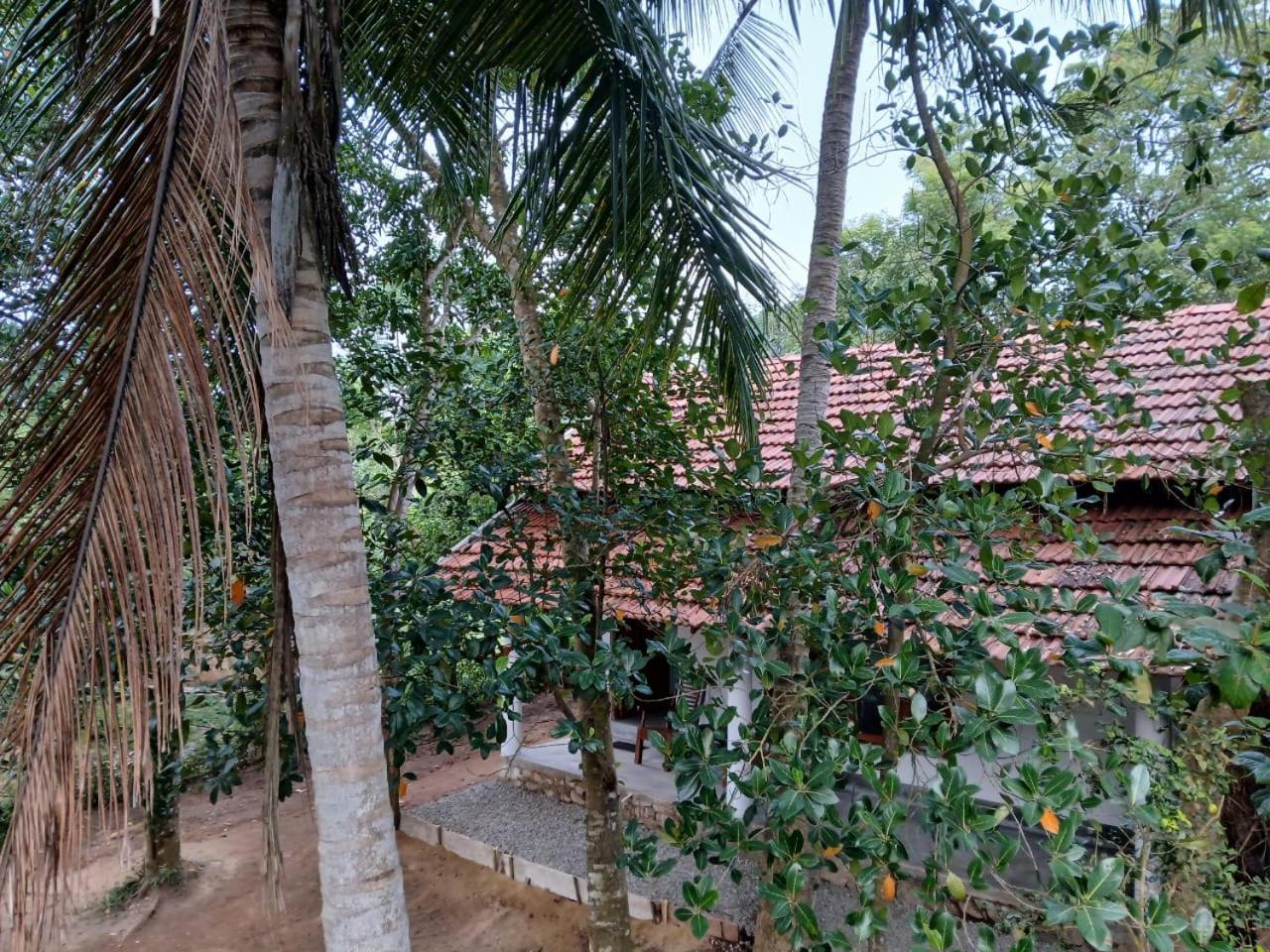 Lagoon Birds - Tangalle Hotel Buitenkant foto