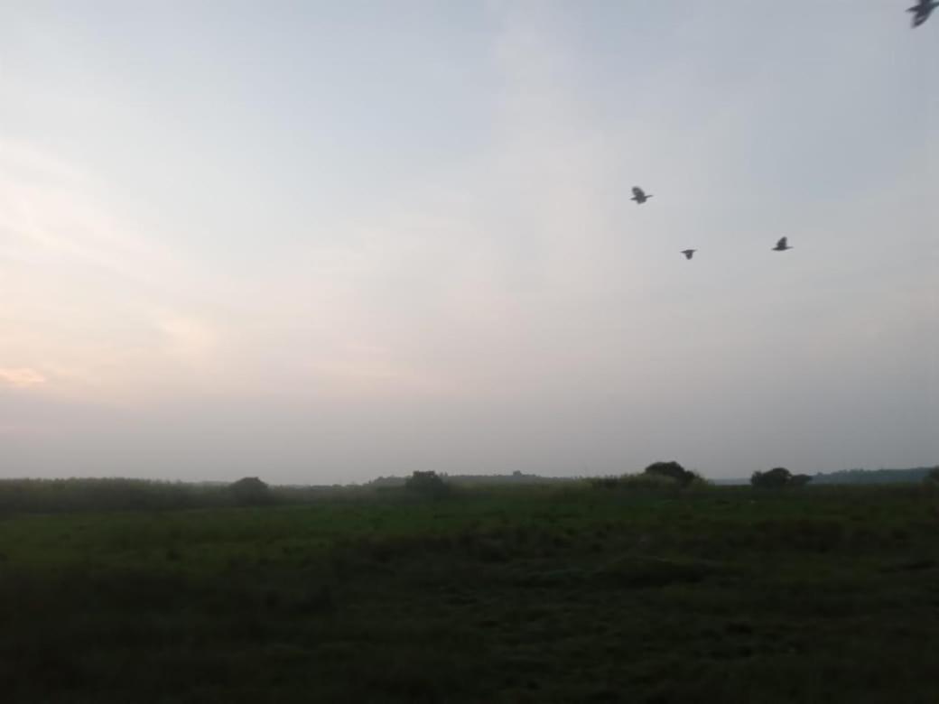 Lagoon Birds - Tangalle Hotel Buitenkant foto