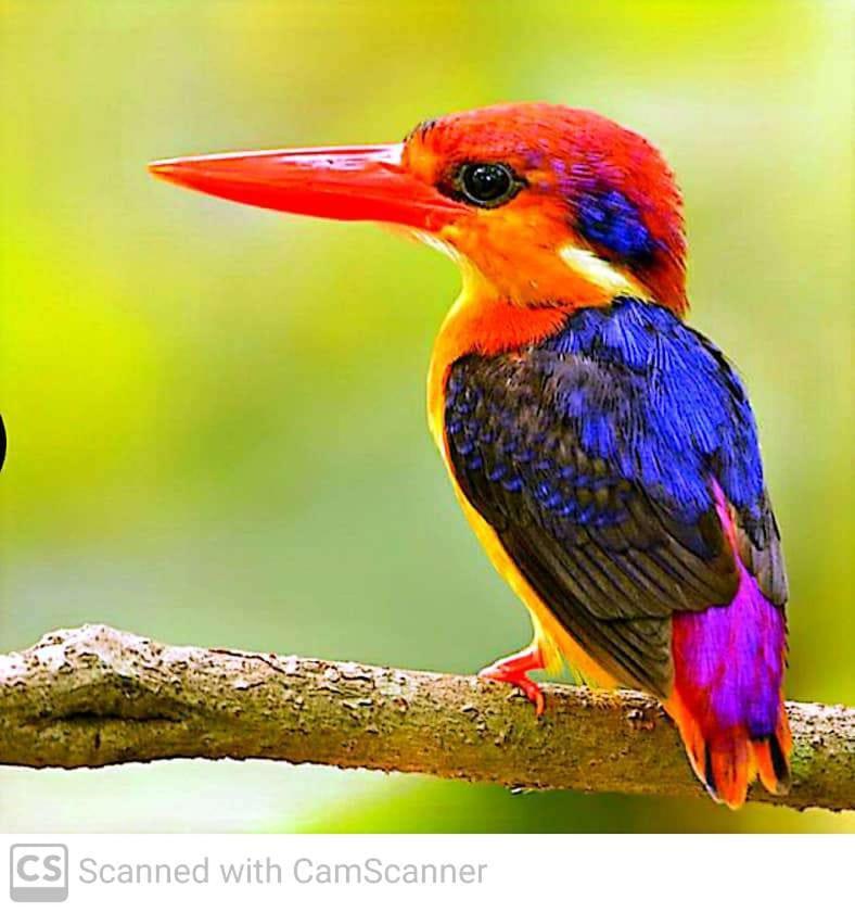 Lagoon Birds - Tangalle Hotel Buitenkant foto